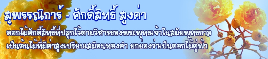 Second slide